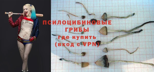 ГАЛЛЮЦИНОГЕННЫЕ ГРИБЫ Волоколамск